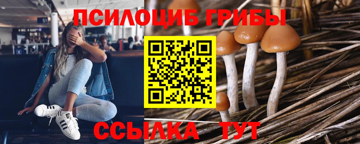 Псилоцибиновые грибы Psilocybine cubensis  Вход с VPN  Альметьевск 